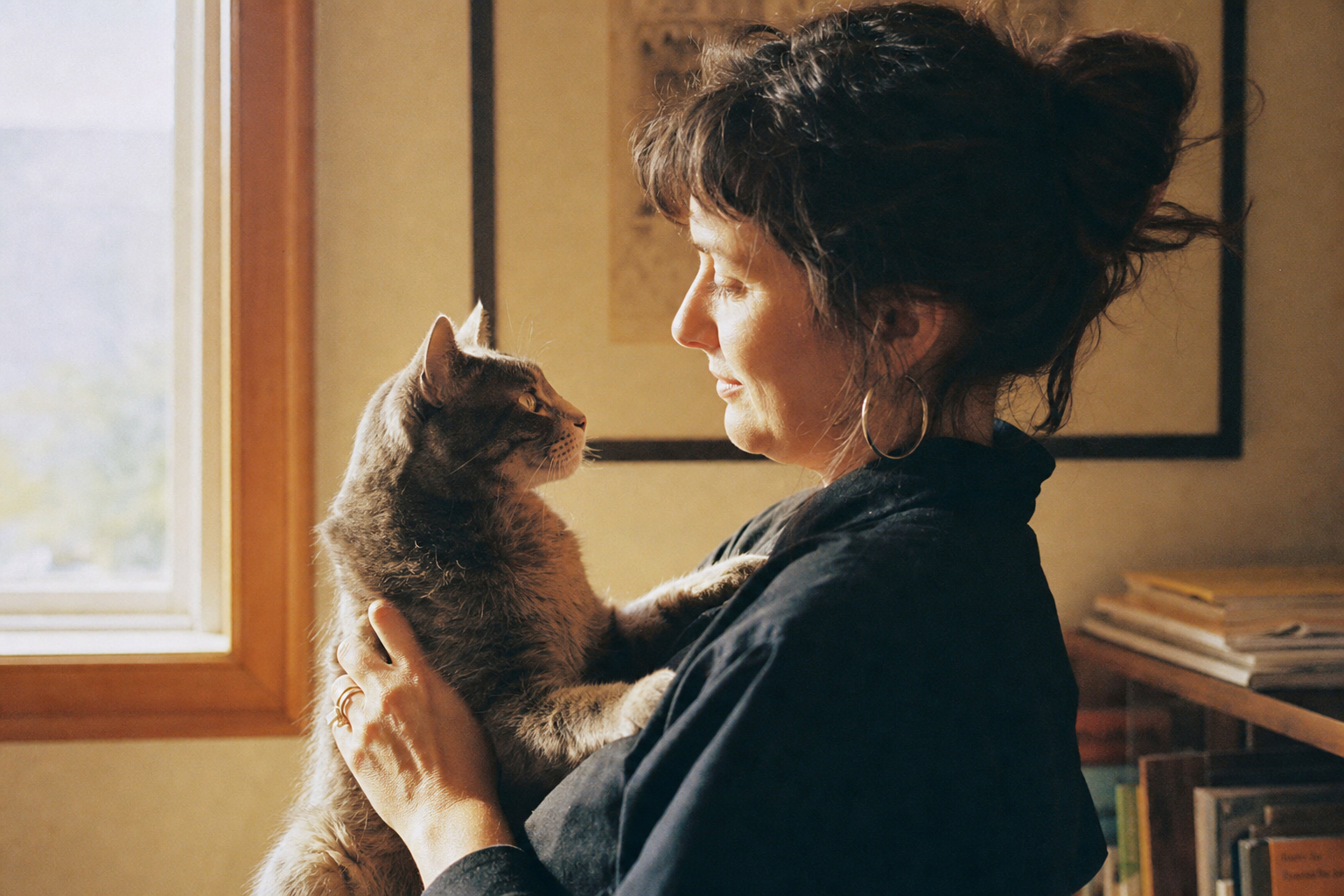 A person holding their gray cat in warm afternoon light at home
